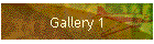 Gallery 1