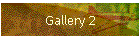 Gallery 2