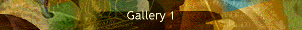 Gallery 1